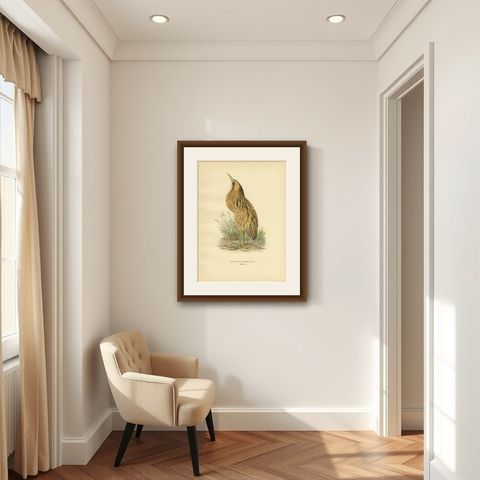 Antique Bird Print of the Eurasian Bittern by Von Wright '1929', shown framed in a room