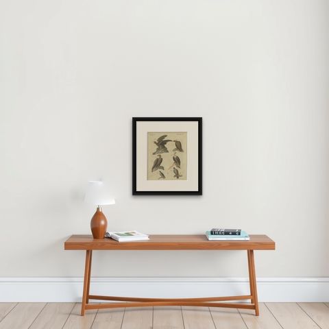 Eagles including the Bald Eagle, Antique Bertuch Print, circa 1805, shown framed on a wall