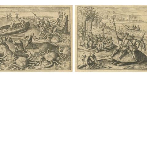 Exotic Encounters: Giant Crabs, Tortoises, Whales, and Cockfights - De Bry, 1598, close-up 5