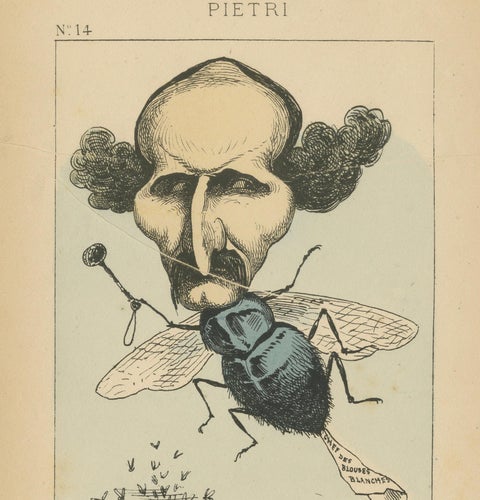 Imperial Menagerie: Joseph-Marie Piétri - The Fly (Deceit - Espionage), 1870, close-up 4