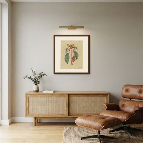 Flowering Shrub with Red Blossom, Antique Bertuch Print, circa 1815, shown framed in a room