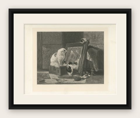 "Curiosity Reflected" - Cats and Kittens by Henriette Ronner (1894), shown framed
