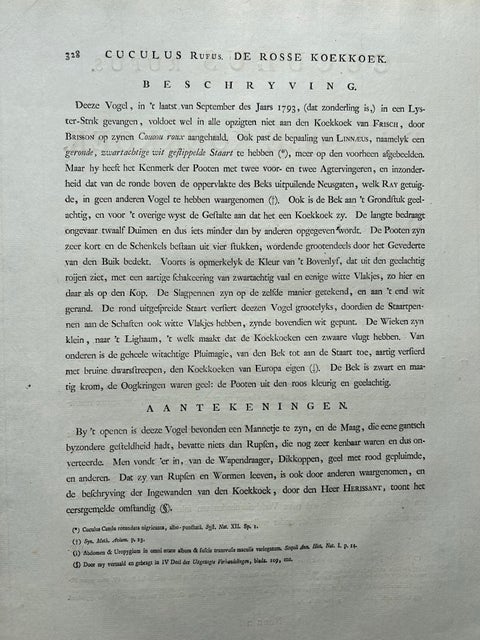 Rufous Cuckoo, Hand-Coloured Engraving with Dutch Text, 1770–1829, view 11
