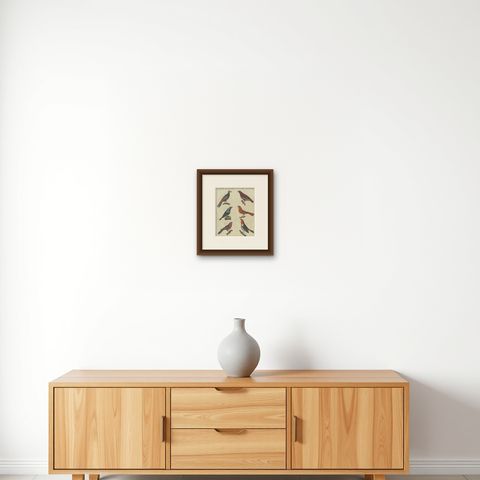 Vibrant 1805 Handcolored Engraving of Tropical Birds from Bertuch's Bilderbuch, shown framed on a wall