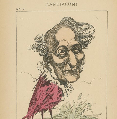 Imperial Menagerie: Zangiacomi - The Ibis (Fetishism - Deception), 1870, close-up 3