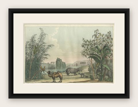 Chinese Landscape with Camel, Rhinoceros and Elephant, Antique Print, 1815, shown framed