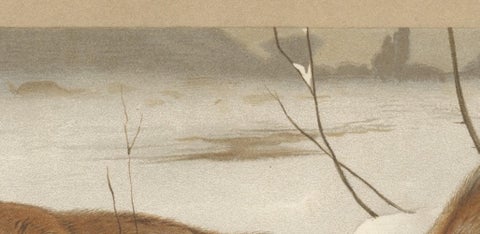 Common Fox in Winter Landscape, Antique Animal Chromolithograph, 1894, view 7