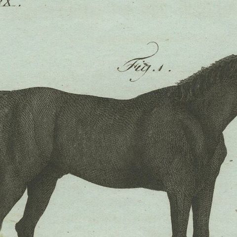 1802 Hand-Colored Print of English Racing Horse and Race Track Scene, close-up 3