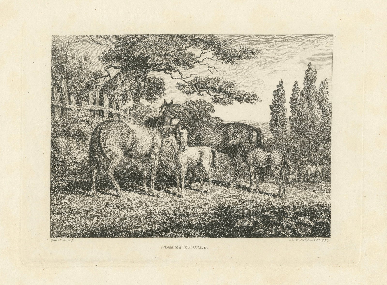 Mares & Foals Engraving, Original Georgian English Equestrian Print, 1799