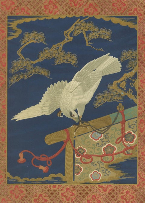 Japanese White Hawk on Pine Branch: Antique Lithograph, 1880s, close-up 4