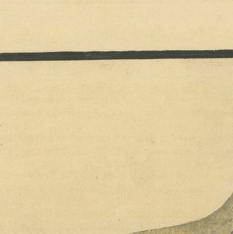 Antique Hand-Colored Engraving of The Island Goose by Eleazar Albin, circa 1730, close-up 6