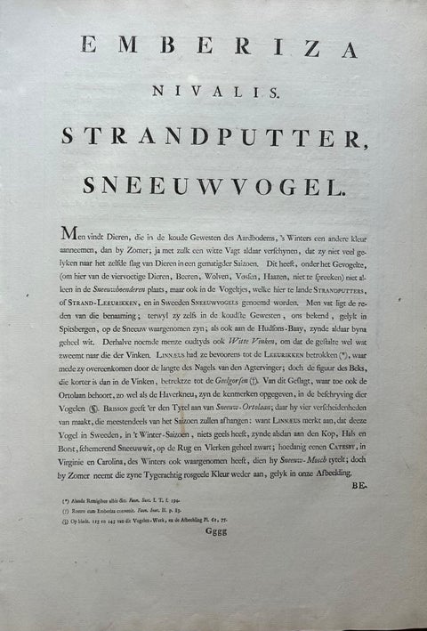 Emberiza nivalis, Antique Snow Bunting Print by Nozeman & Sepp, 1809, view 9