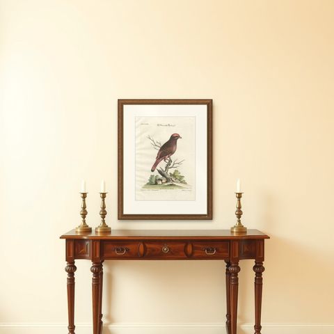 The Red Bird of Surinam by J.M. Seligmann, Hand-Colored Engraving, 18th Century, shown framed on a wall