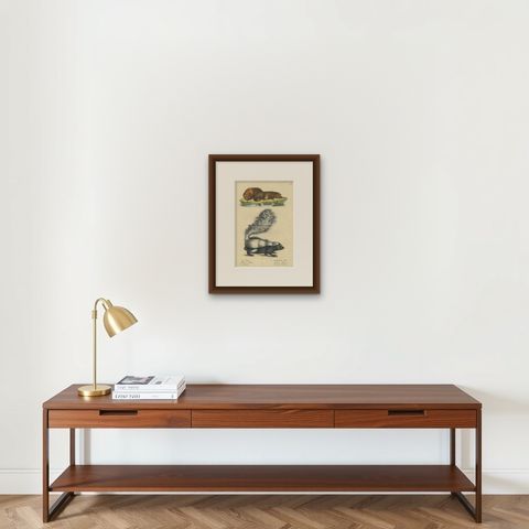 Antique Hand Colored Print of a Skunk and European Otter, shown framed on a wall