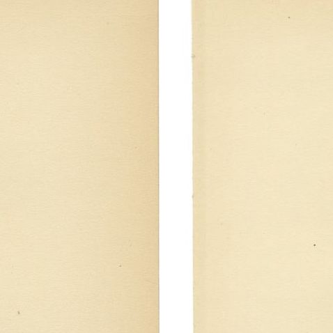 1929 Swedish Pintail Lithographs, Nordic Natural History Pair, close-up 1