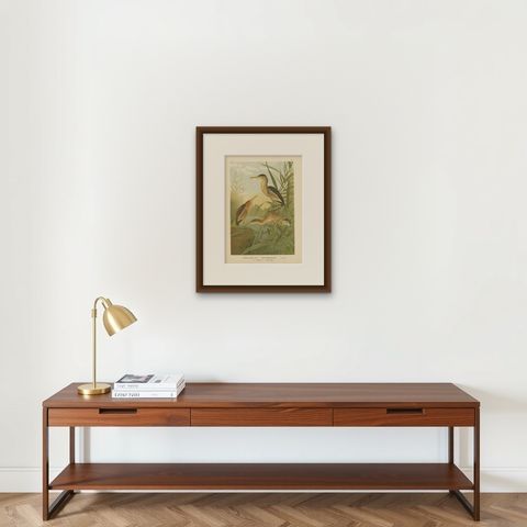 Antique Bird Print of the Little Bittern by Naumann, circa 1895, shown framed on a wall