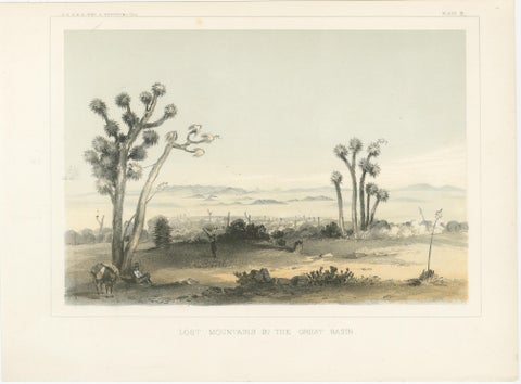Lost Mountains in the Great Basin with Desert Flora - Mohane, California, 1856, view 2