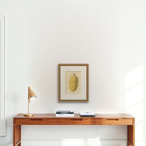 Antique Print of the Vegetable Marrow, shown framed on a wall