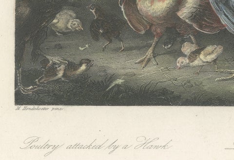 Defending the Flock: The Poultry's Stand Against the Hawk, Hand-colored ca.1860, close-up 3