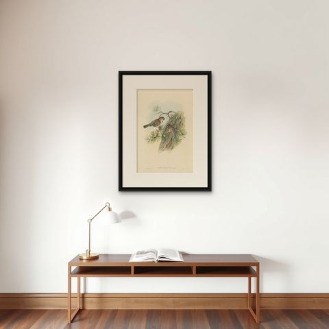 Antique Bird Print of the Saxaul Sparrow by Gould, circa 1850, shown framed on a wall