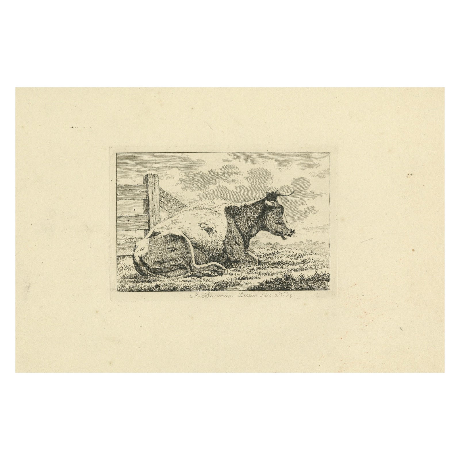 Etching of Resting Cow by Fence: Rural Scene by Anthony Oberman, 1810