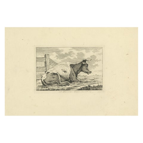 Etching of Resting Cow by Fence: Rural Scene by Anthony Oberman, 1810