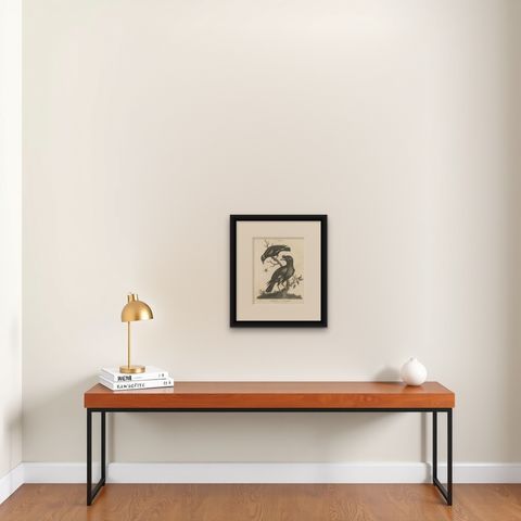 Antique Bird Print of Grackle Birds by Wilkes, 1801, shown framed on a wall