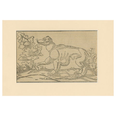 Rare 1592 Woodcut of Exotic Animal from Sebastian Münster's "Cosmographia"