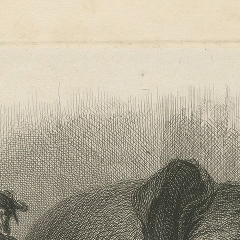 Antique Animal Print of an Asian Elephant, close-up 1