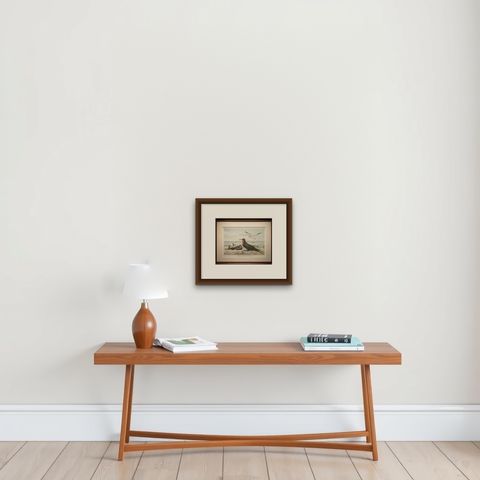 Antique Frigate Bird & Tropic Bird Print, Coastal Scene Lithograph, c.1895, shown framed on a wall