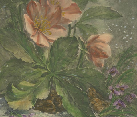 Snowdrops in Bloom - Giacomelli's Birds and Winter Flora, Circa 1891, close-up 5