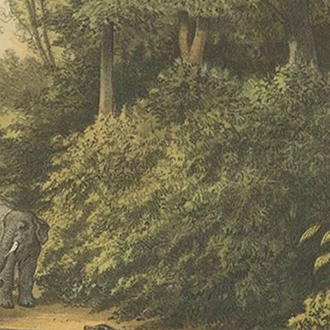 Antique Print of a Forest and Elephants in Indonesia by M.T.H. Perelaer, 1888, close-up 2