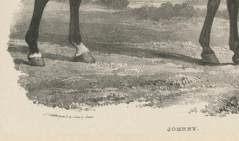 Johnny & An Old Hunter, Pair of Antique Sporting Horse Lithographs c.1840, close-up 3