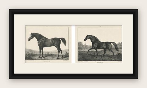 Volunteer & Selim, Pair of Antique Thoroughbred Horse Lithographs, c.1840, shown framed