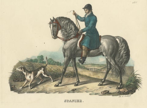 Antique Print of a Spanish Horse, view 3