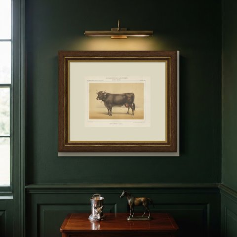 Schwyz Cow with Bell, Swiss Brown Cattle Chromolithograph, 1863, shown framed on a wall