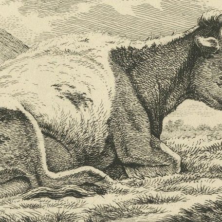 Etching of Resting Cow by Fence: Rural Scene by Anthony Oberman, 1810, close-up 6