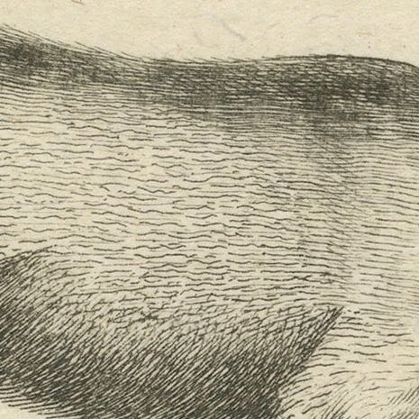 Antique Engraving of a Babirusa and a Swallow, ca.1800, close-up 5