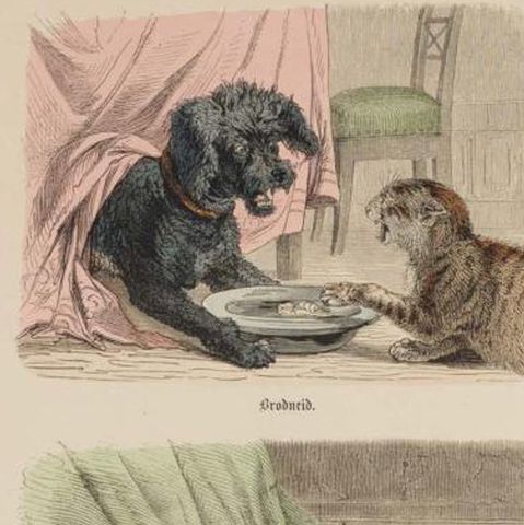 Antique Print of Cats and Dogs, Hand-Colored German Wood Engraving, c.1909, close-up 1