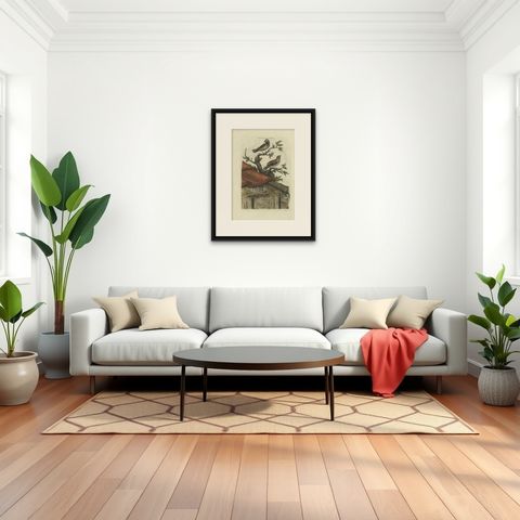 Antique Bird Print of House Sparrows by Sepp & Nozeman, 1770, shown framed in a room