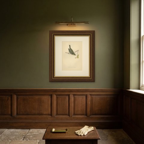 Yellow Browed Warbler Hanging from a Forked Twig, Antique Print, Morris, 1896, shown framed on a wall