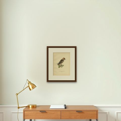 Antique Bird Print of the Hawfinch by Von Wright, 1927, shown framed on a wall