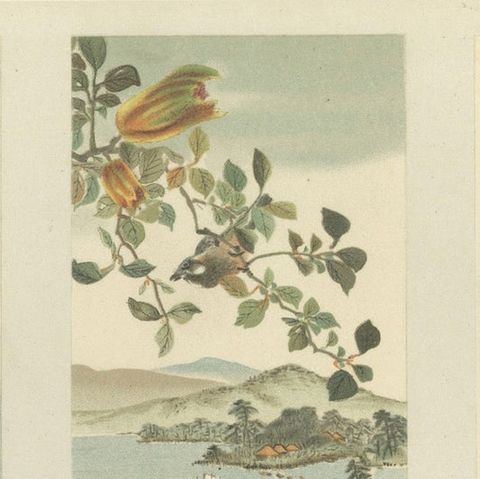Antique Japanese Bird and Landscape Print: Six Panels of Nature’s Harmony, 1882, close-up 6