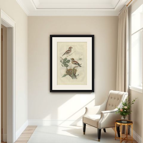 Antique Bird Print of the Hawfinch by Sepp & Nozeman, 1789, shown framed in a room