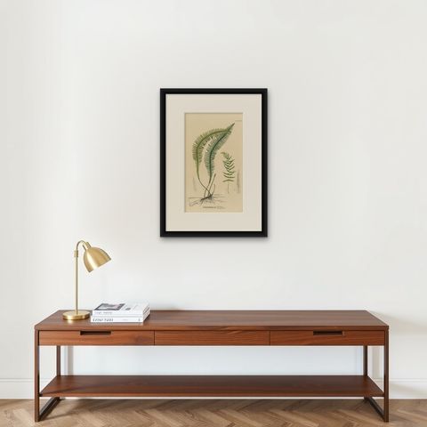 Artfully Handcolored Lithograph of Ferns of Java 'Polypodium', 1829, shown framed on a wall