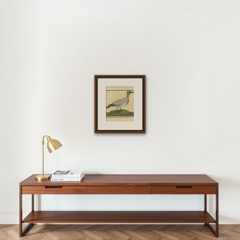 Antique Hand-Colored Engraving of The Island Goose by Eleazar Albin, circa 1730, shown framed on a wall