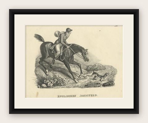 Antique Print of an English Hunting Horse, shown framed
