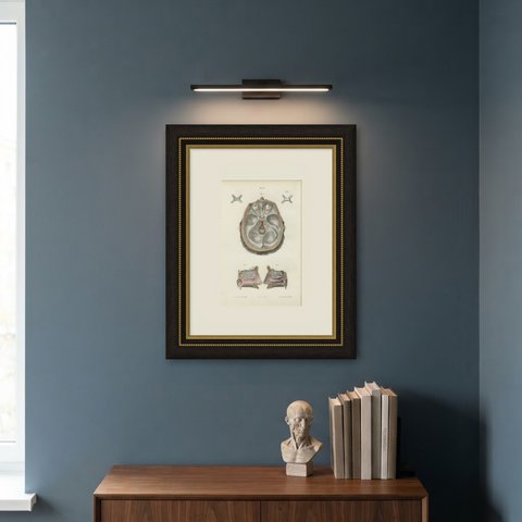 The Olfactory Nerves and Optic Chiasm, Antique Hirschfeld Anatomy Print, 1866, shown framed on a wall