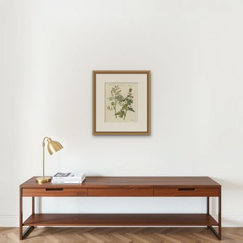 Marshmallow and Wormwood Medicinal Herbs, Antique Bertuch Print, circa 1812, shown framed on a wall