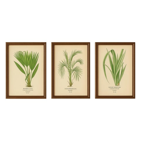 Antique Botanical Prints of Bourbon Palm, Cocos Weddeliana & Screw-Pine, c.1897